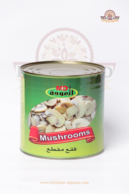 مشروم مشرح (فطر)